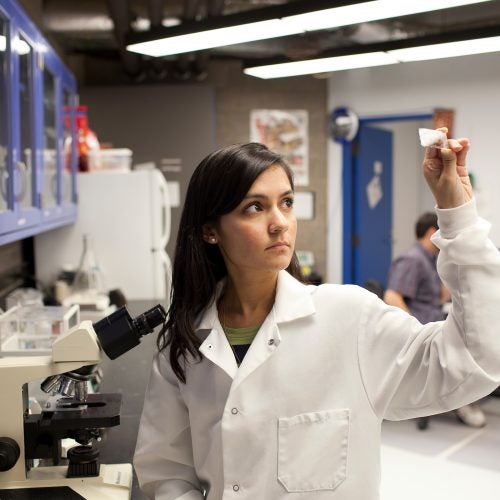 female student wearing a white coat holding a slide up to the light